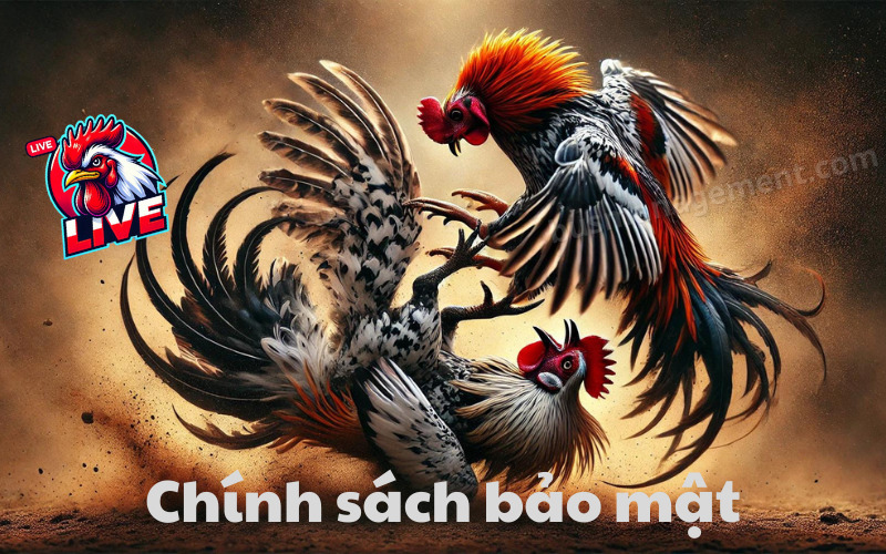 Chính sách bảo mật